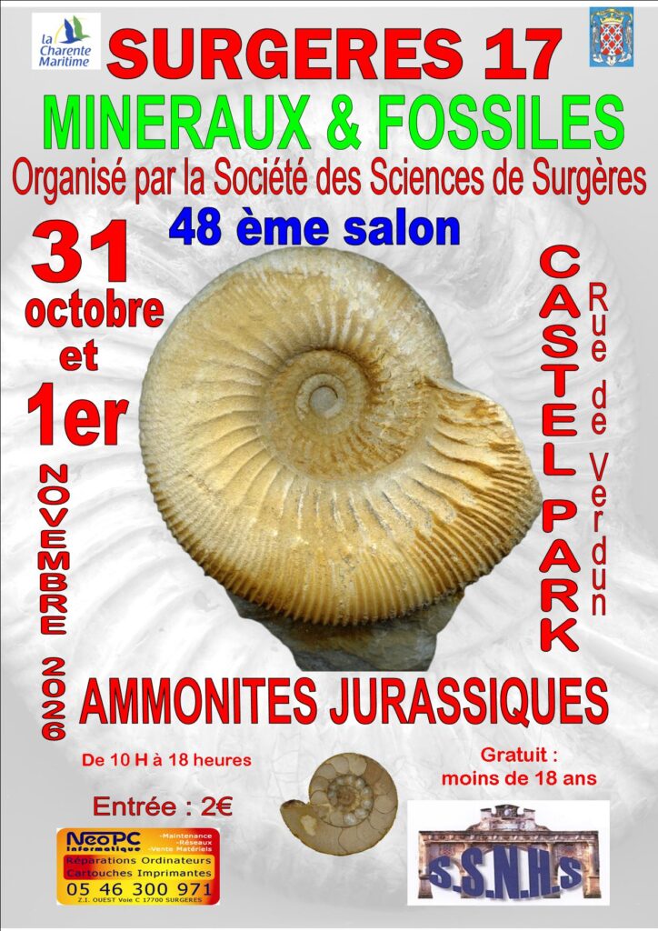Salon Fossils et Mineraux sur le thème des ammonites du Jurassique